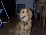 daytwo-36.jpg (25327 bytes)